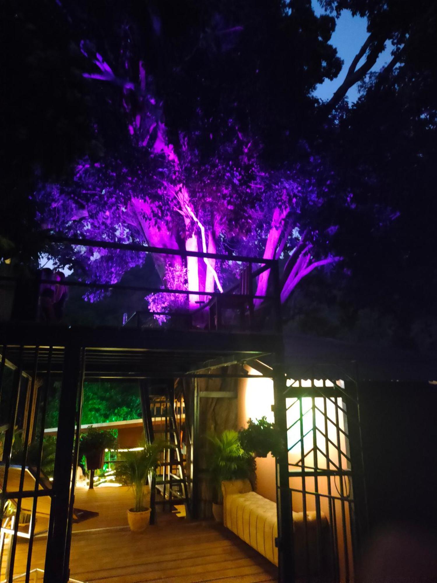 Phuket Jungle Experience Resort Karon Kültér fotó