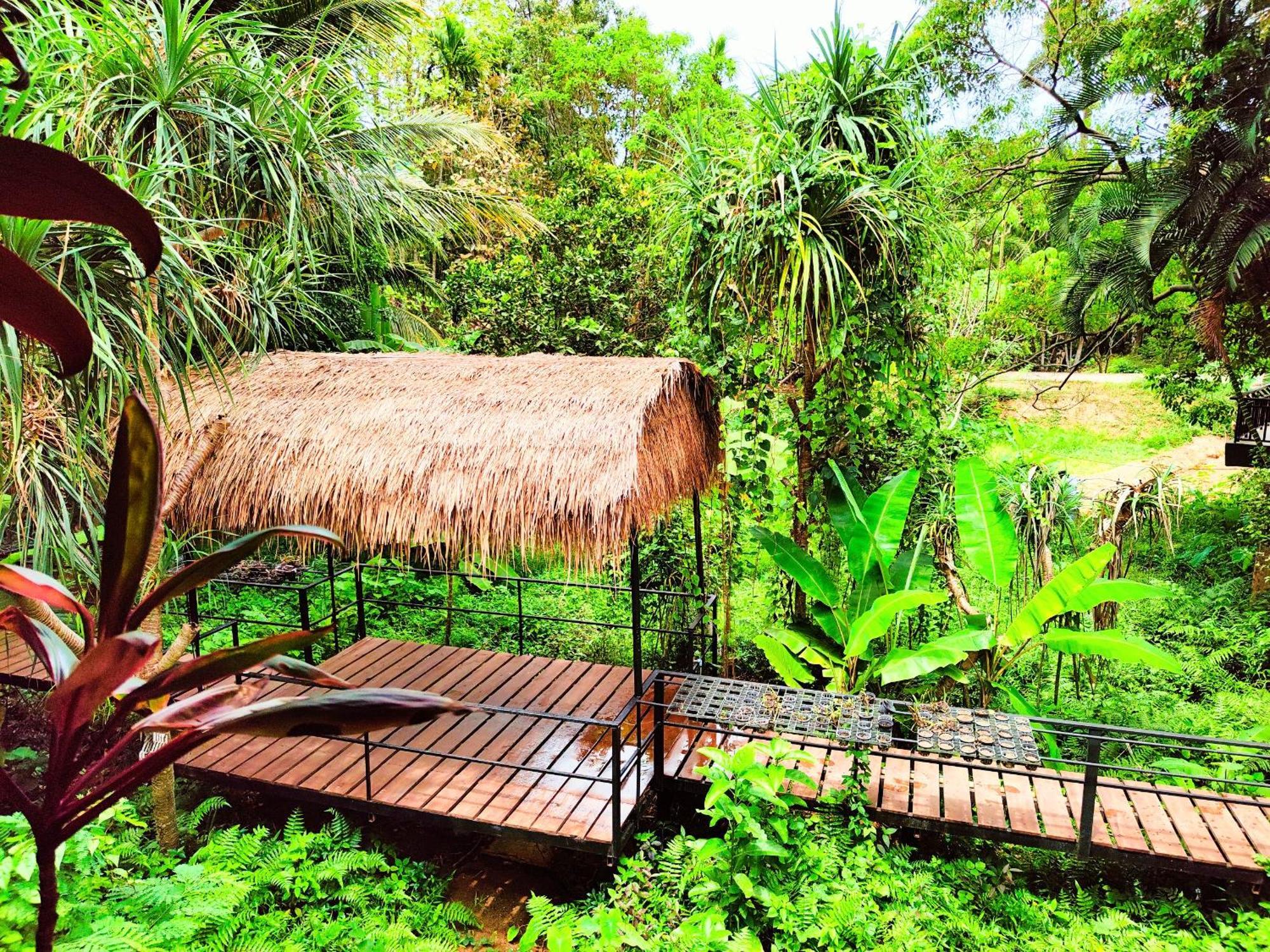 Phuket Jungle Experience Resort Karon Kültér fotó